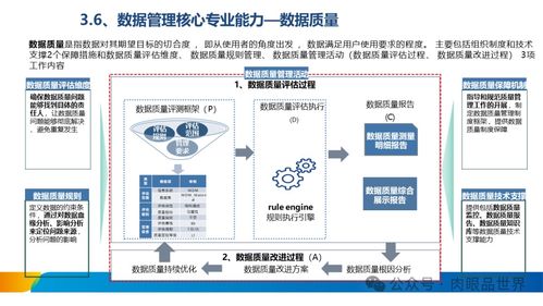 XX集團數(shù)據(jù)治理體系建設(shè)方案 數(shù)據(jù)處理服務(wù)